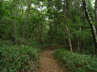 090907 009.JPG